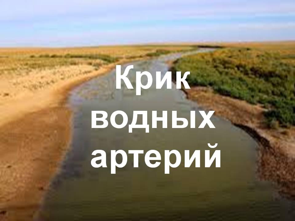 «Идея волонтёрства по защите искусственных водоемов Шуского района»
