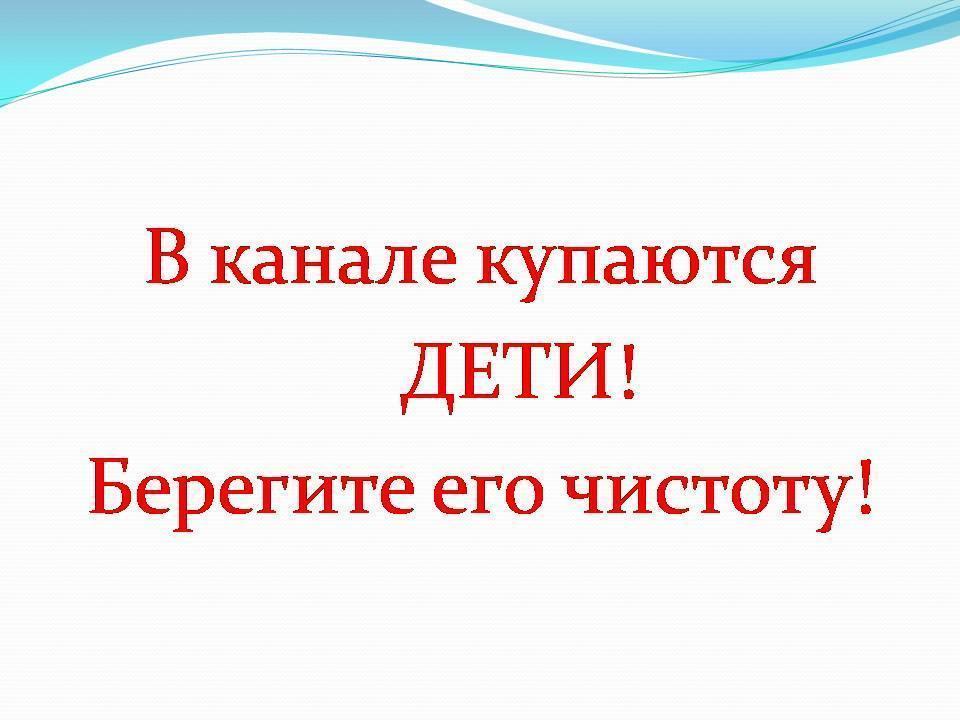 «Идея волонтёрства по защите искусственных водоемов Шуского района»