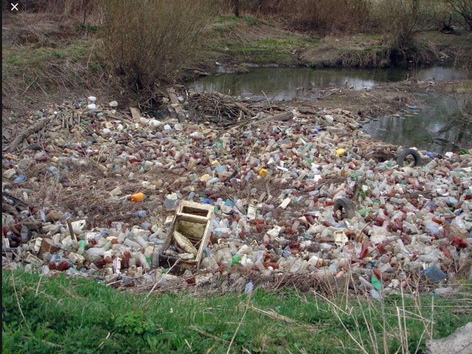 «Идея волонтёрства по защите искусственных водоемов Шуского района»