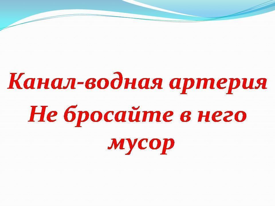 «Идея волонтёрства по защите искусственных водоемов Шуского района»