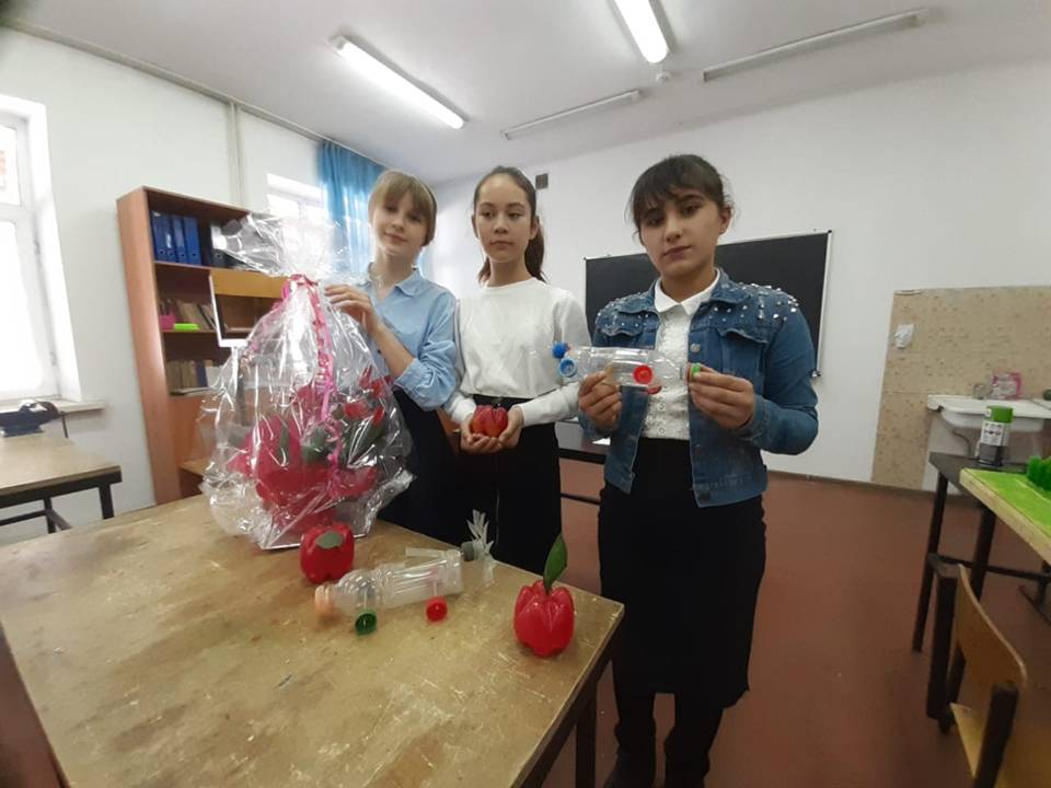 «Идея волонтёрства по защите искусственных водоемов Шуского района»