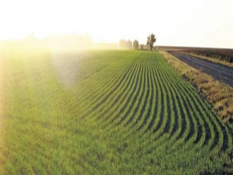 «Идея волонтёрства по защите искусственных водоемов Шуского района»