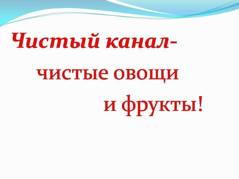 «Идея волонтёрства по защите искусственных водоемов Шуского района»