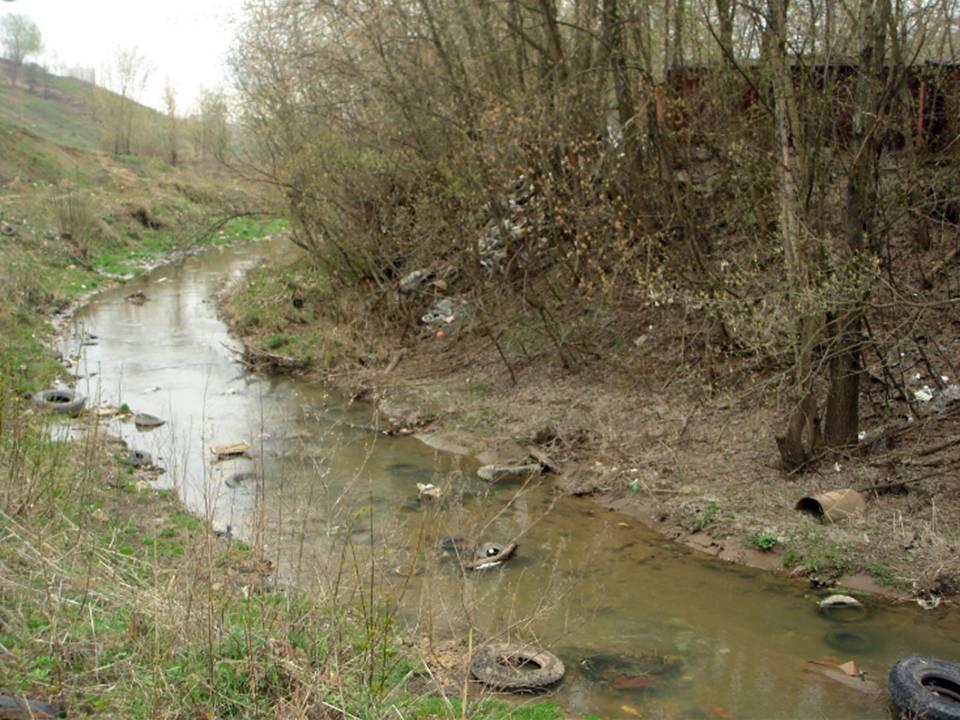 «Идея волонтёрства по защите искусственных водоемов Шуского района»