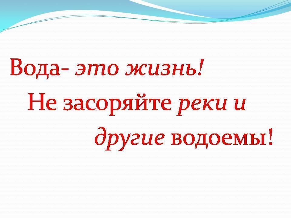 «Идея волонтёрства по защите искусственных водоемов Шуского района»