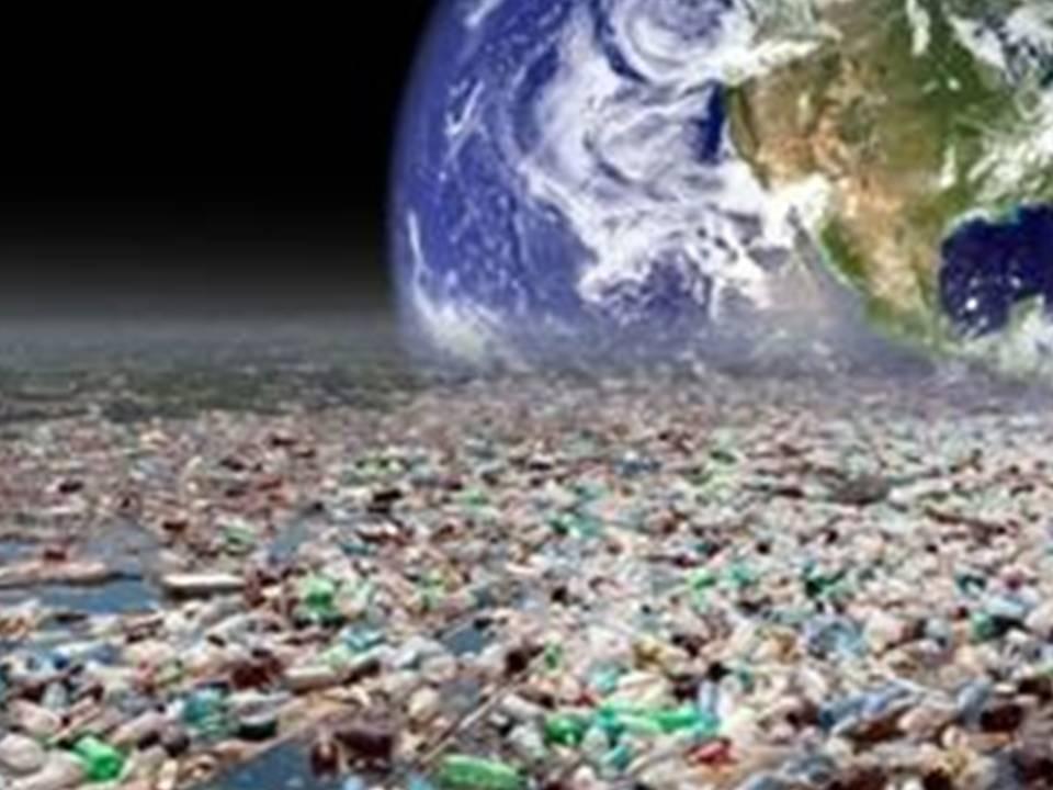 «Идея волонтёрства по защите искусственных водоемов Шуского района»